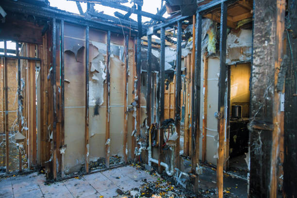 Professional Soot Cleanup technician working in Ives Estates, FL